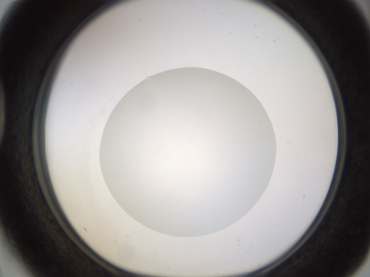 folderID523_plateID1523_batchID6125_wellNum41_profileID1_d1_r97689_ef.jpg