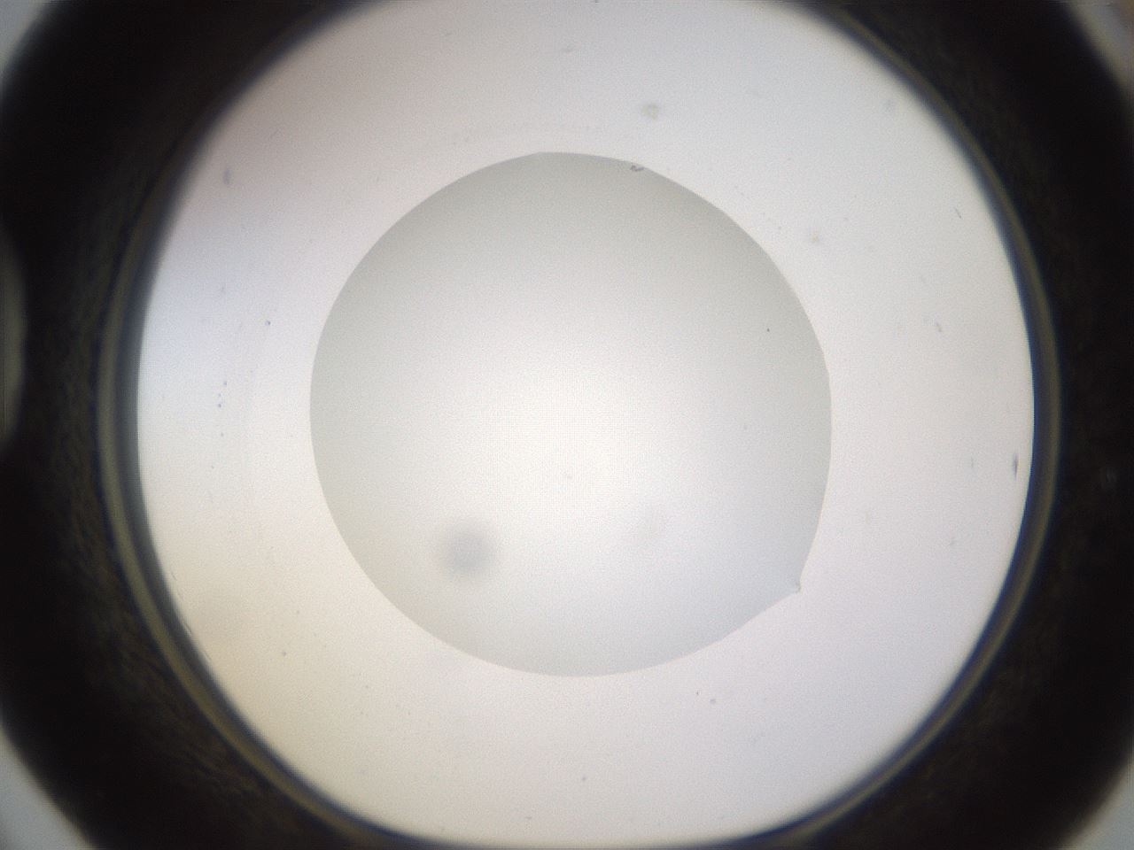 folderID523_plateID1523_batchID6125_wellNum42_profileID1_d1_r97690_ef.jpg