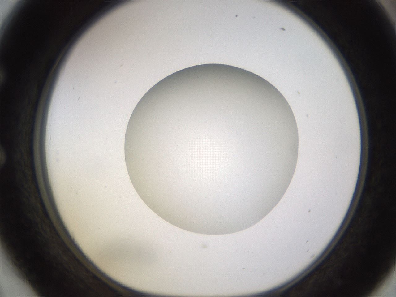 folderID523_plateID1523_batchID6125_wellNum54_profileID1_d1_r97702_ef.jpg