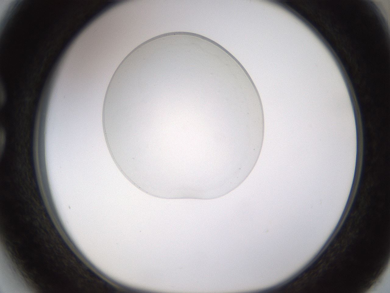 folderID524_plateID1524_batchID6147_wellNum27_profileID1_d1_r97893_ef.jpg