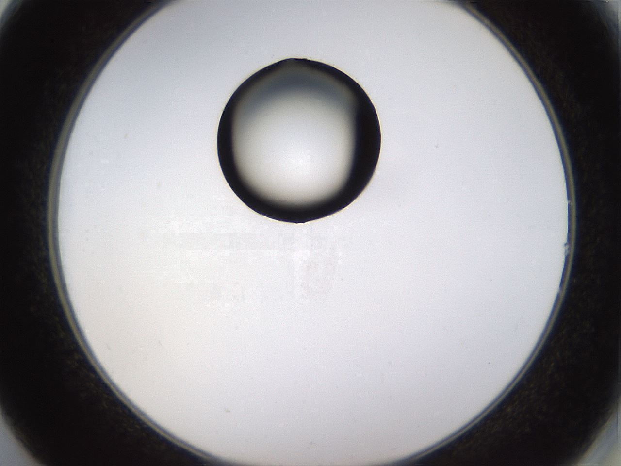 folderID527_plateID1527_batchID6154_wellNum14_profileID1_d2_r98252_ef.jpg