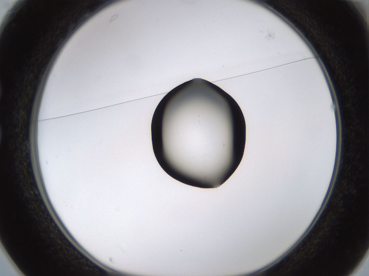 folderID527_plateID1527_batchID6154_wellNum25_profileID1_d1_r98273_ef.jpg