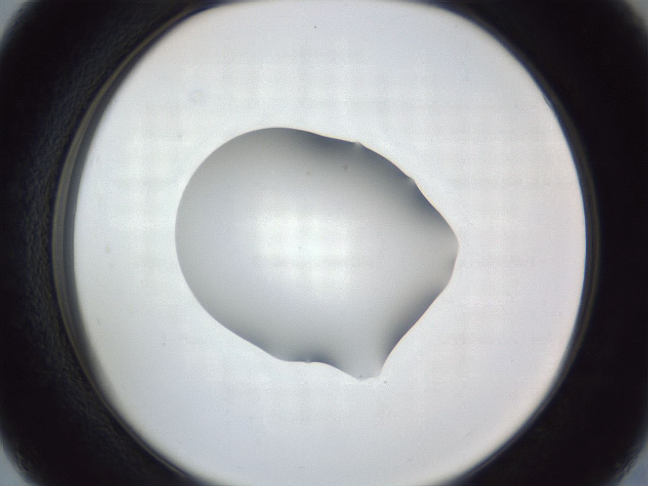 folderID52_plateID1052_batchID2254_wellNum27_profileID1_d2_r47558_ef.jpg