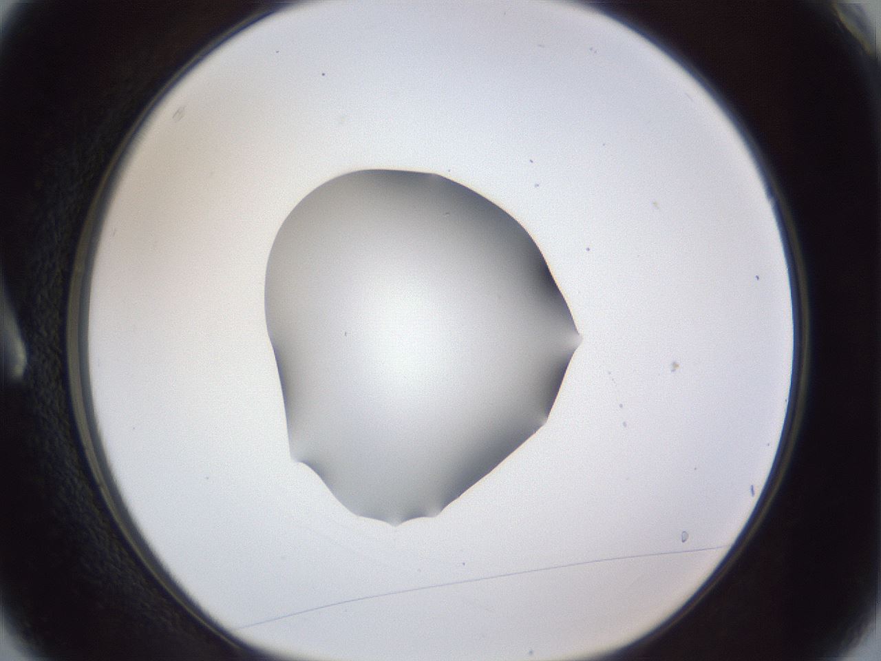 folderID52_plateID1052_batchID2254_wellNum3_profileID1_d1_r47509_ef.jpg