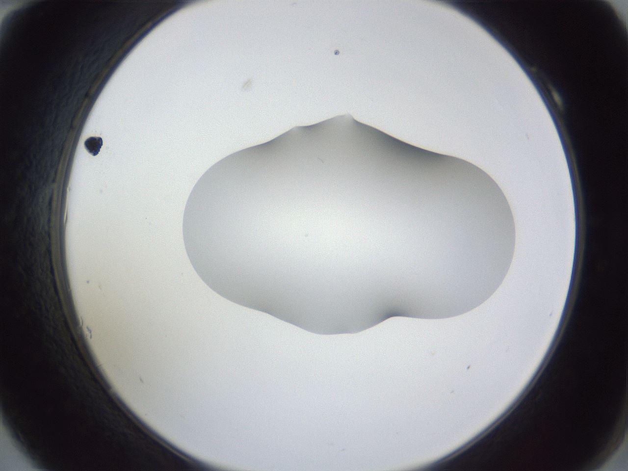 folderID52_plateID1052_batchID2254_wellNum10_profileID1_d2_r47524_ef.jpg