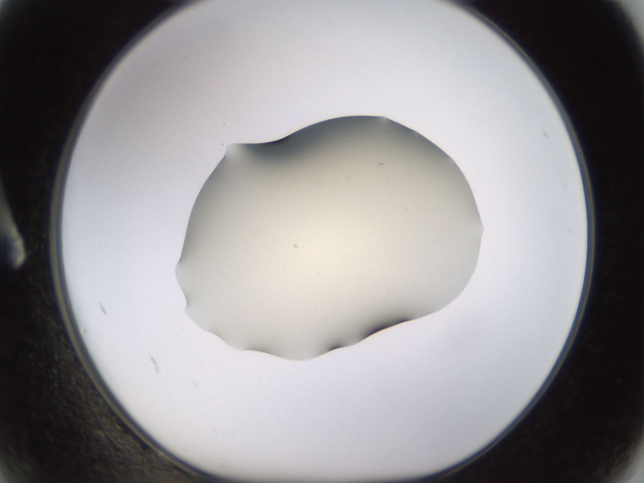 folderID530_plateID1530_batchID6231_wellNum2_profileID1_d1_r98658_ef.jpg