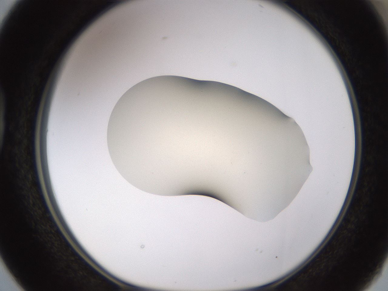 folderID530_plateID1530_batchID6231_wellNum38_profileID1_d1_r98694_ef.jpg