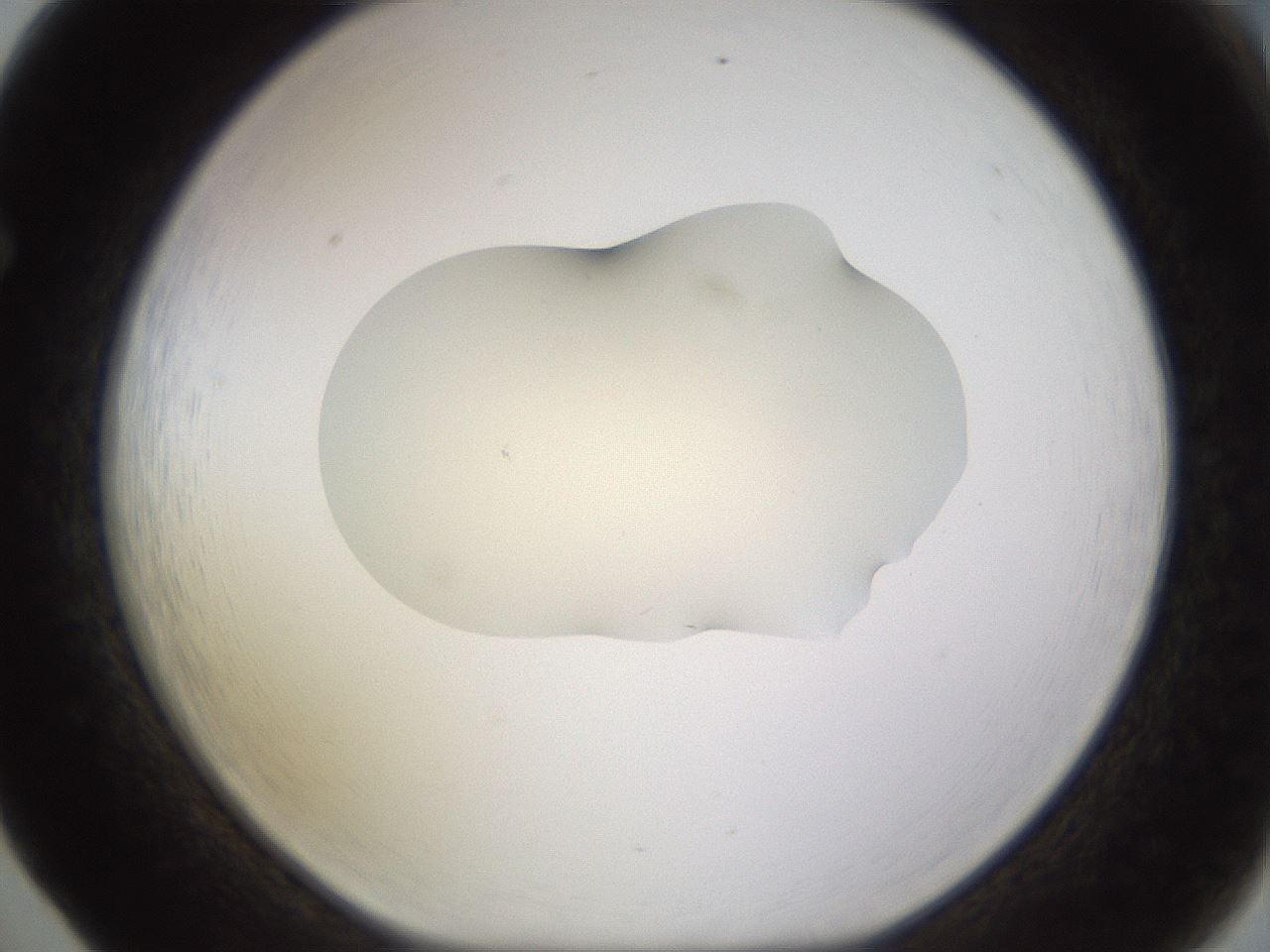 folderID530_plateID1530_batchID6231_wellNum65_profileID1_d1_r98721_ef.jpg