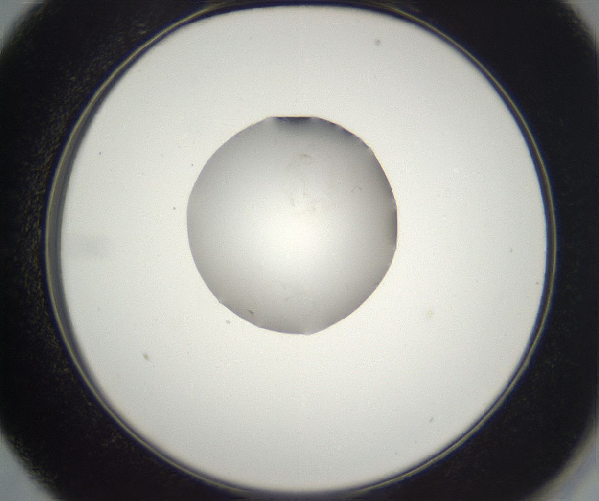 folderID530_plateID2530_batchID12530_wellNum13_profileID1_d2_r191165_ef.jpg
