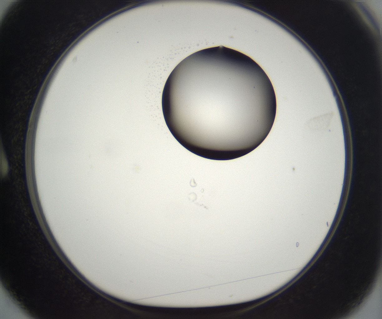 folderID530_plateID2530_batchID12530_wellNum3_profileID1_d1_r191144_ef.jpg