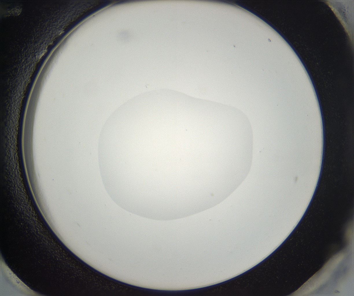 folderID530_plateID2530_batchID12530_wellNum96_profileID1_d2_r191331_ef.jpg
