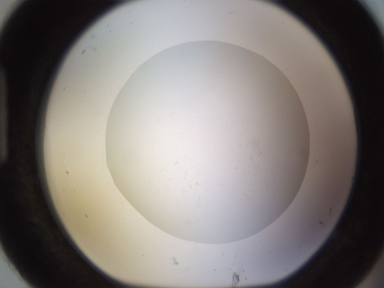 folderID531_plateID1531_batchID6233_wellNum92_profileID1_d1_r98940_ef.jpg
