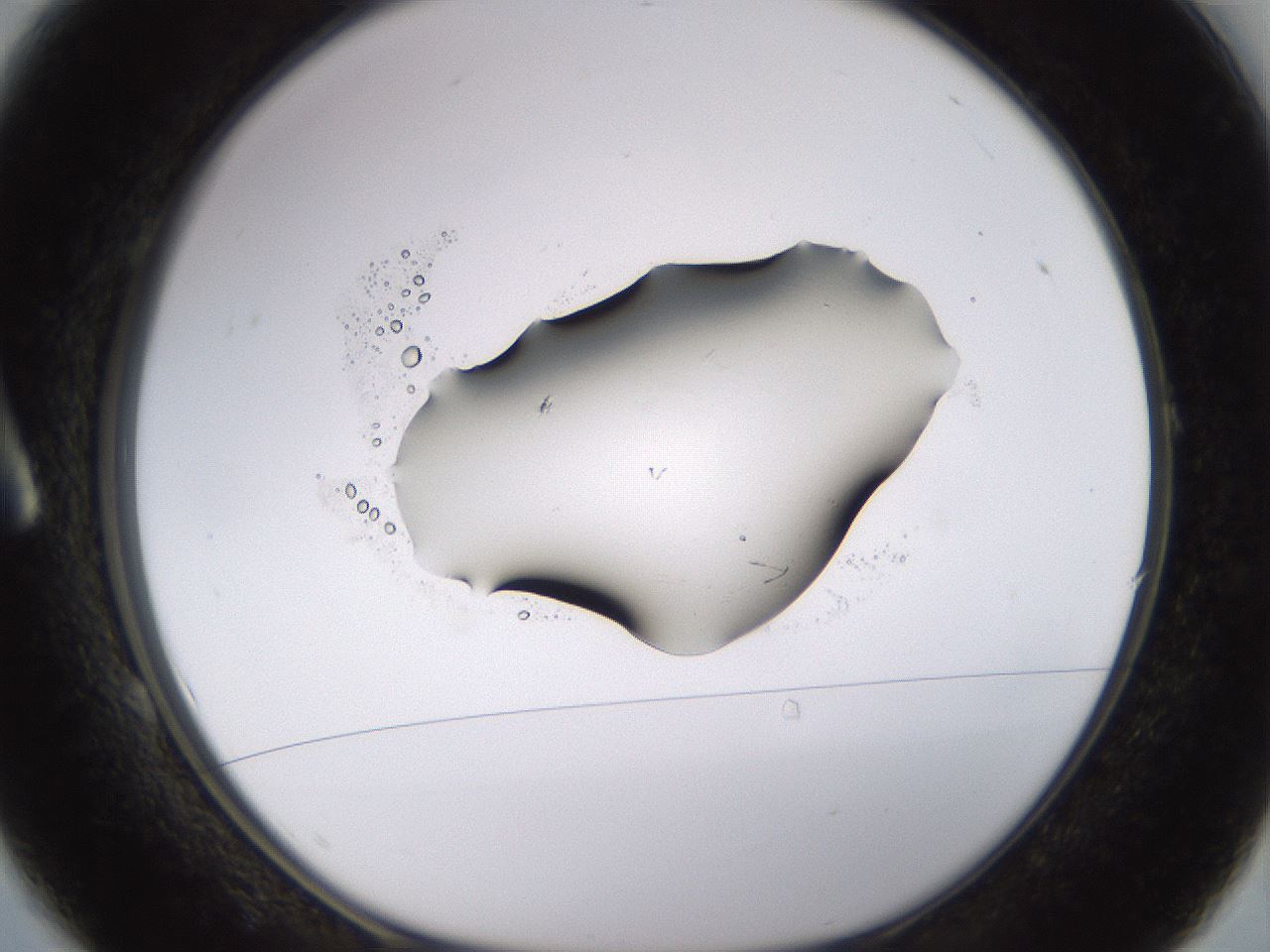 folderID531_plateID1531_batchID6233_wellNum1_profileID1_d1_r98849_ef.jpg