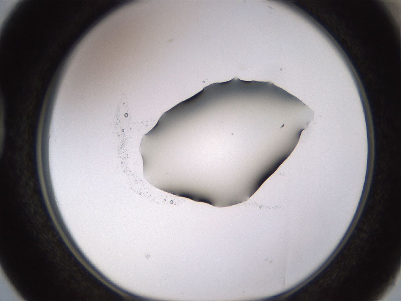 folderID531_plateID1531_batchID6233_wellNum38_profileID1_d1_r98886_ef.jpg