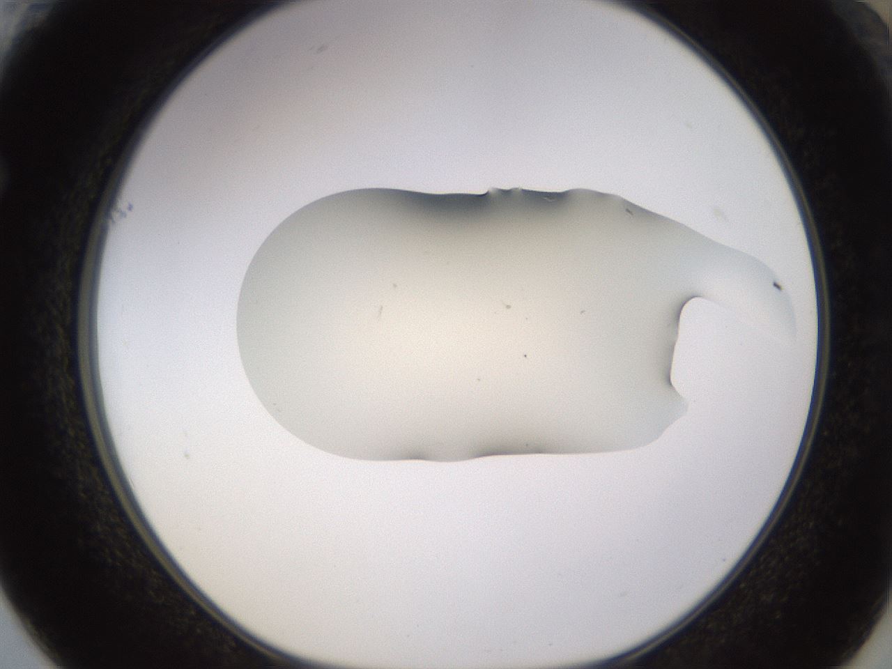 folderID531_plateID1531_batchID6233_wellNum61_profileID1_d1_r98909_ef.jpg