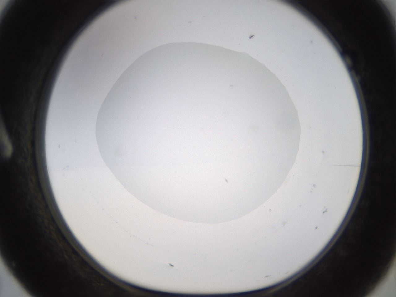 folderID531_plateID1531_batchID6233_wellNum7_profileID1_d1_r98855_ef.jpg