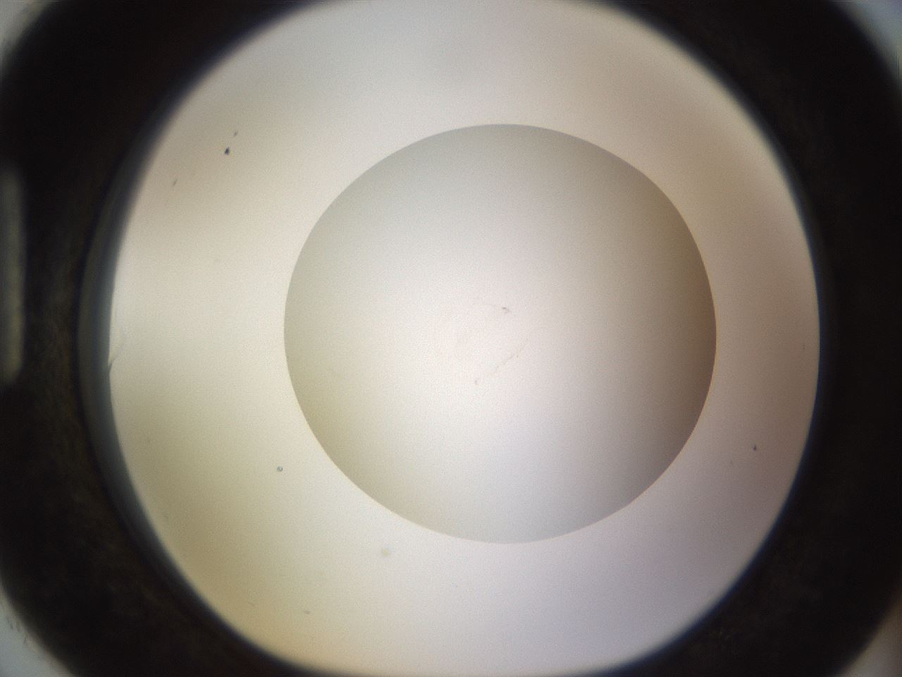 folderID531_plateID1531_batchID6233_wellNum90_profileID1_d1_r98938_ef.jpg