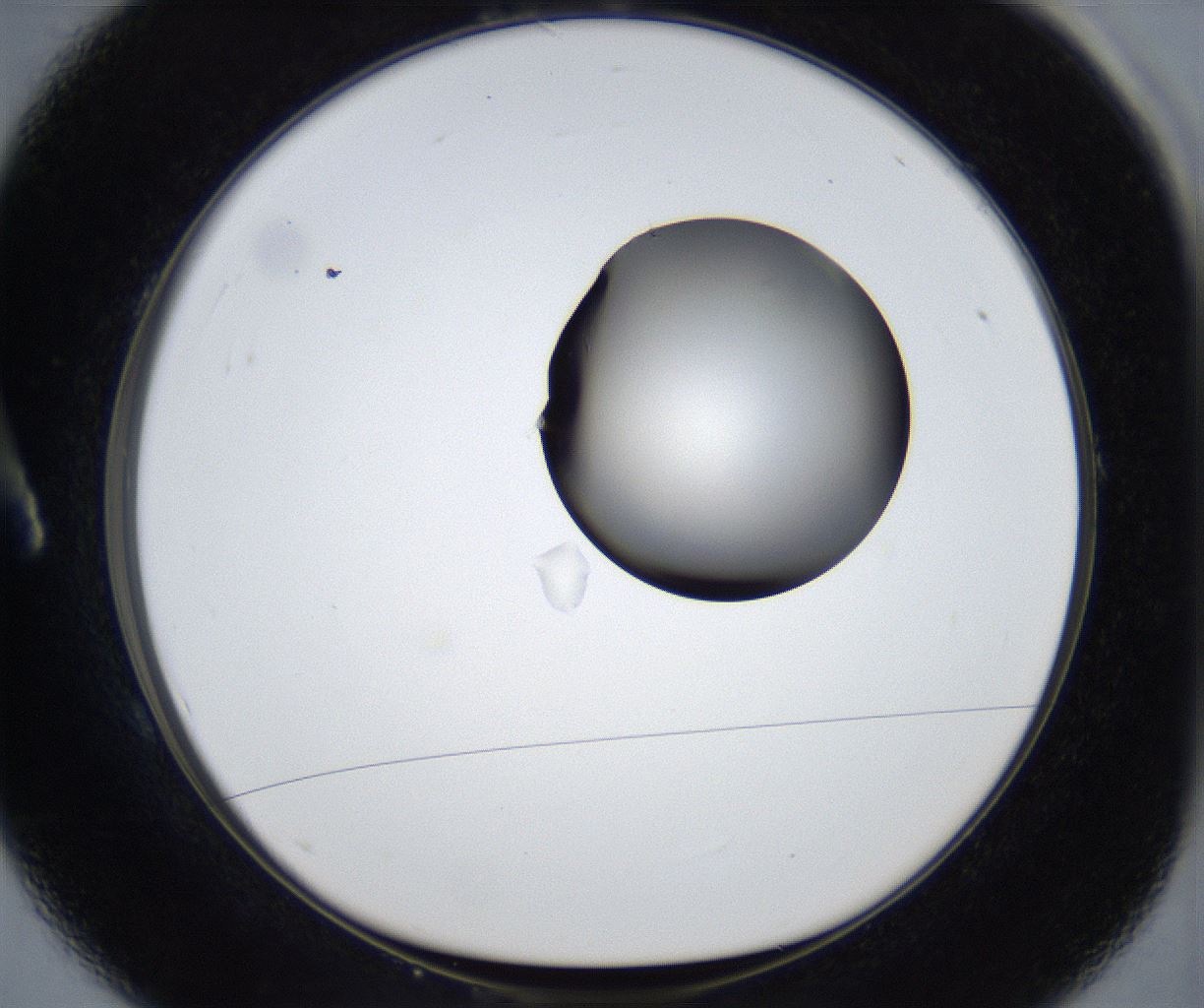 folderID531_plateID2531_batchID12499_wellNum1_profileID1_d1_r191524_ef.jpg