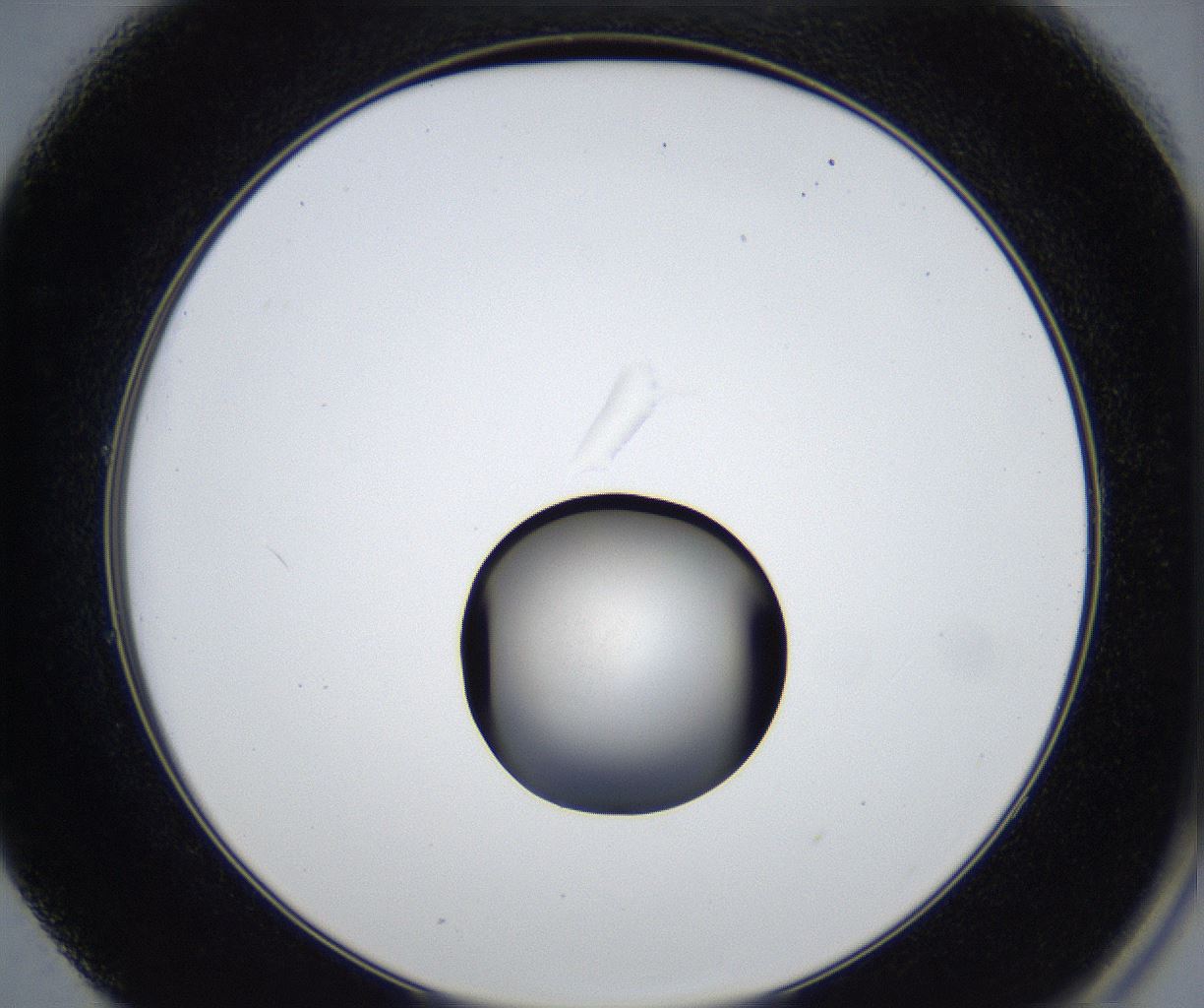 folderID531_plateID2531_batchID12499_wellNum49_profileID1_d2_r191621_ef.jpg