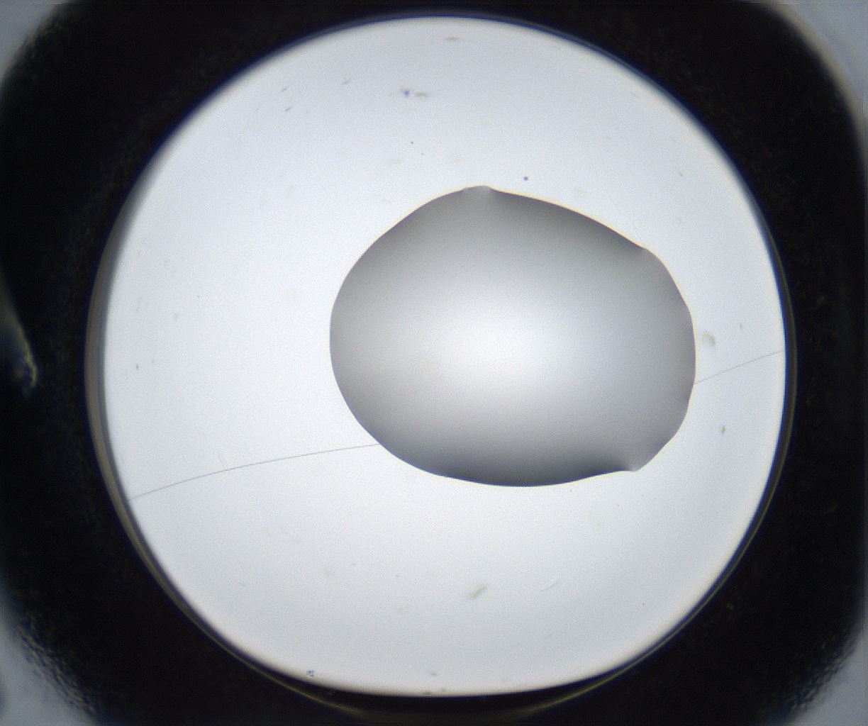 folderID531_plateID2531_batchID12499_wellNum6_profileID1_d1_r191534_ef.jpg