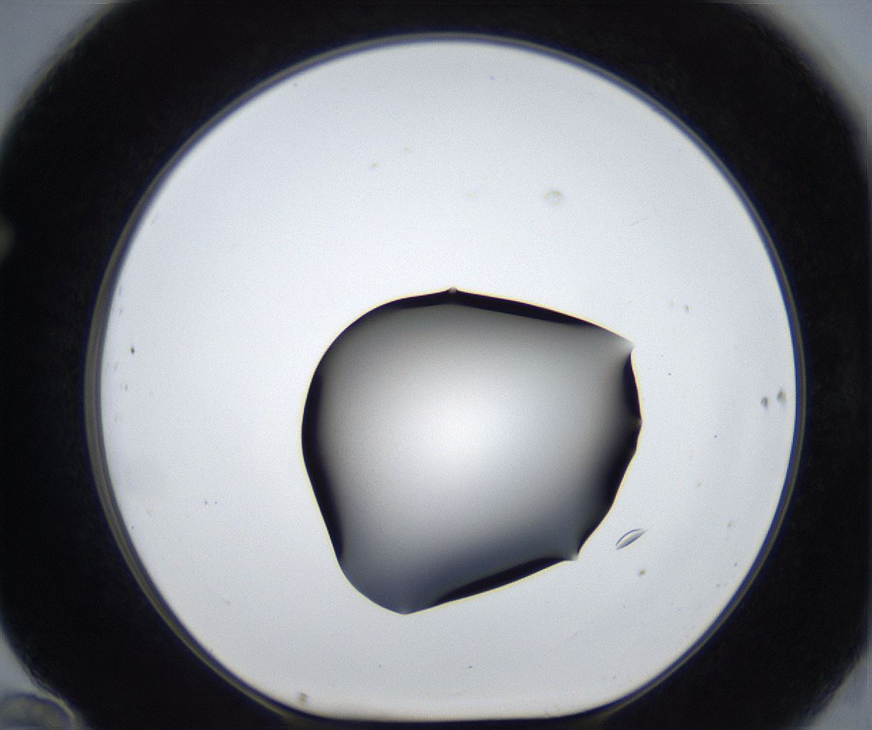folderID531_plateID2531_batchID12499_wellNum70_profileID1_d1_r191662_ef.jpg