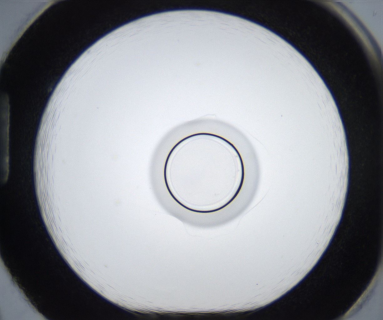 folderID531_plateID2531_batchID12499_wellNum86_profileID1_d1_r191694_ef.jpg