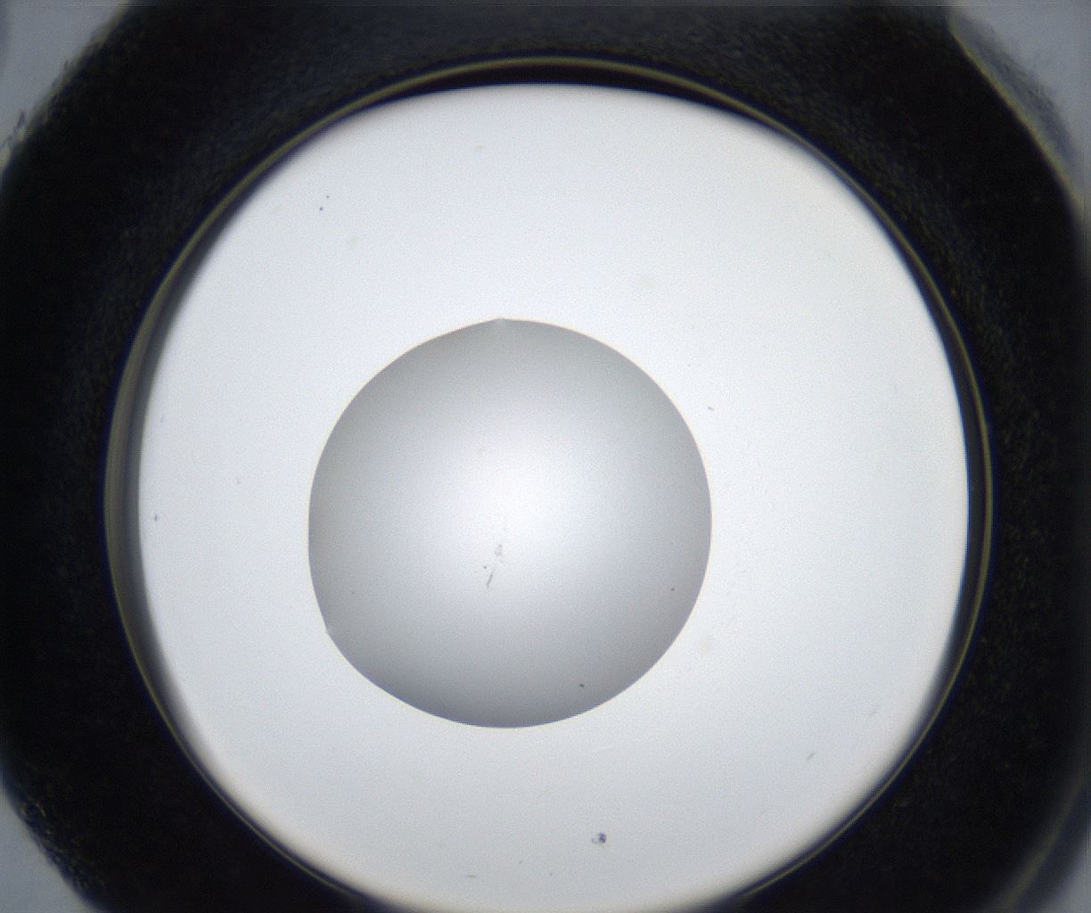 folderID531_plateID2531_batchID12499_wellNum89_profileID1_d2_r191701_ef.jpg