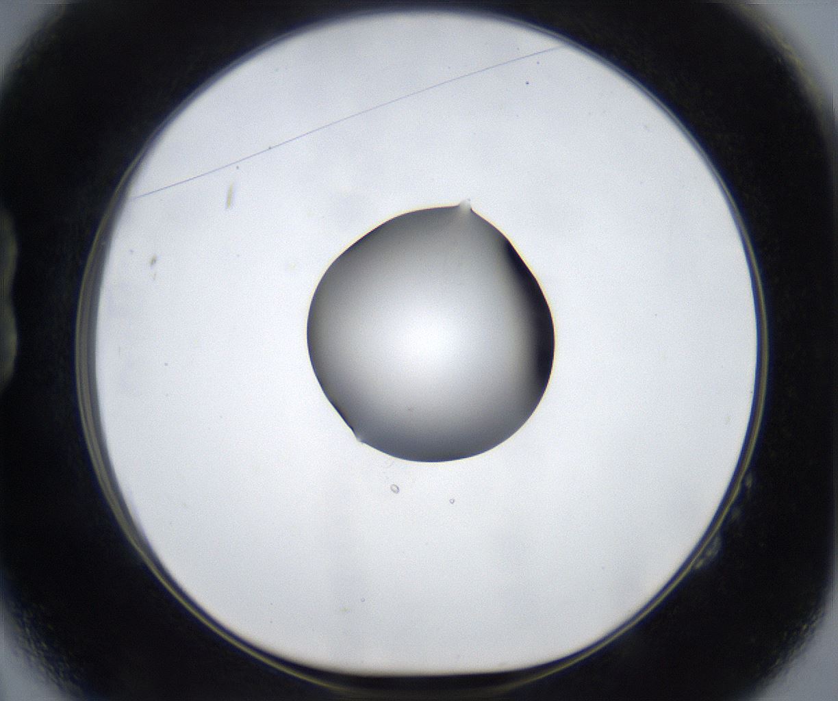 folderID533_plateID2533_batchID12498_wellNum14_profileID1_d1_r191358_ef.jpg