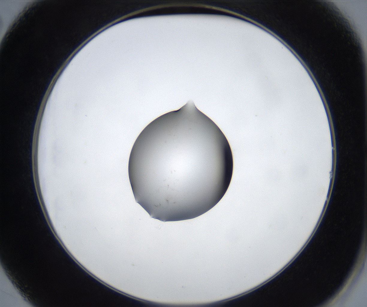 folderID533_plateID2533_batchID12498_wellNum14_profileID1_d2_r191359_ef.jpg