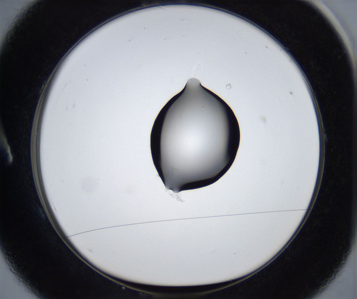 folderID533_plateID2533_batchID12498_wellNum1_profileID1_d1_r191332_ef.jpg
