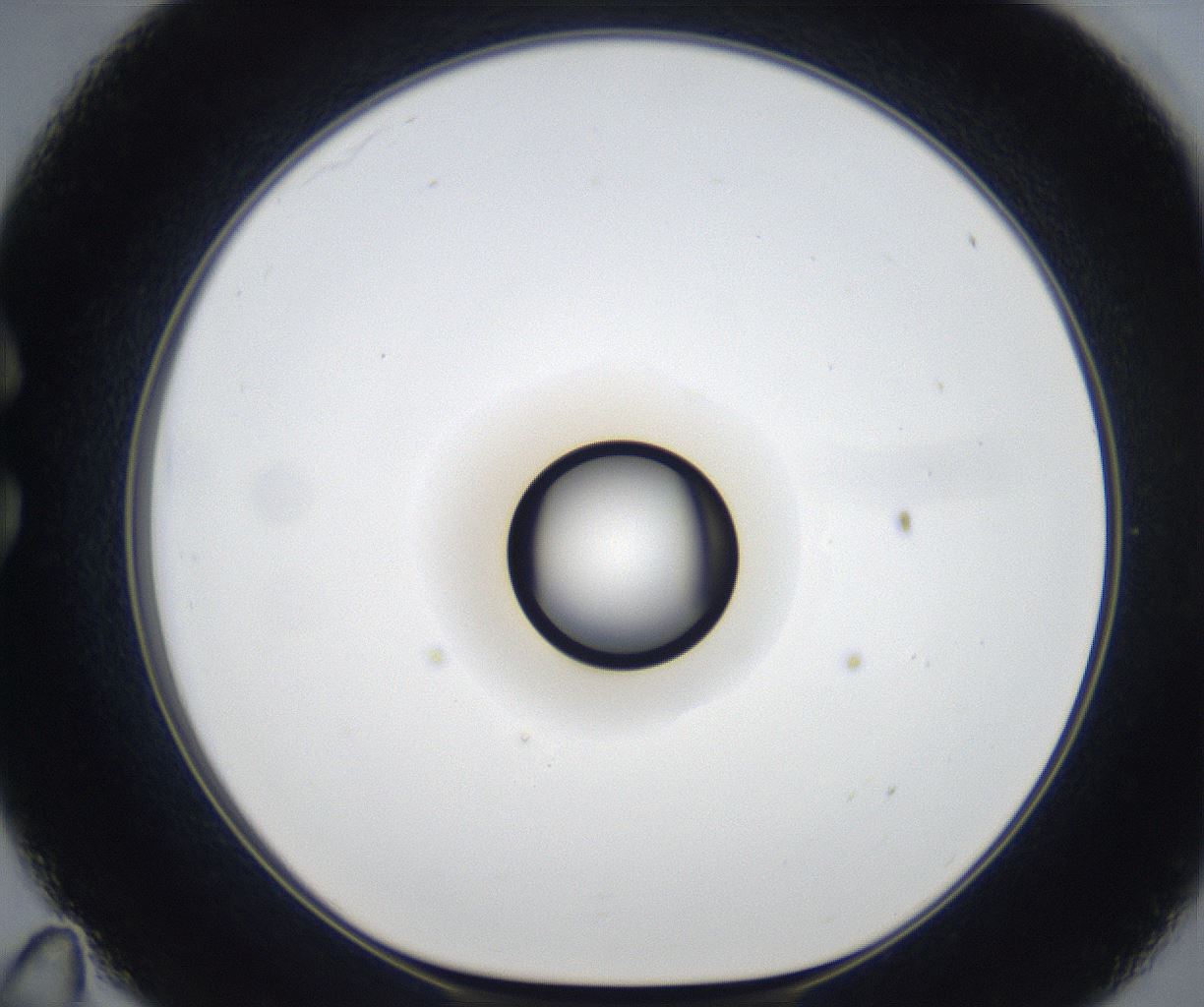 folderID533_plateID2533_batchID12498_wellNum35_profileID1_d1_r191400_ef.jpg