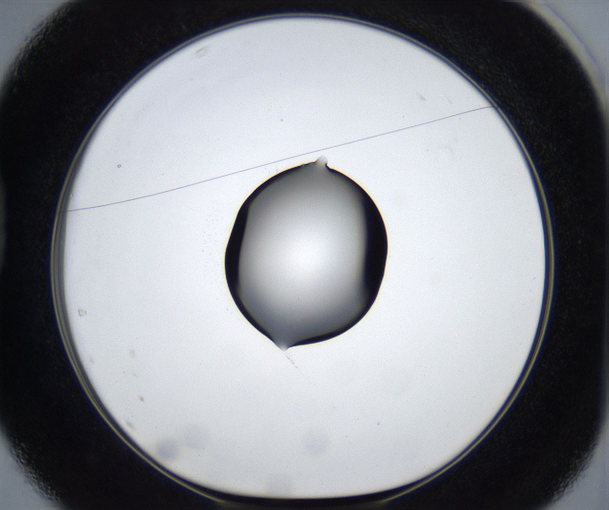 folderID533_plateID2533_batchID12498_wellNum37_profileID1_d1_r191404_ef.jpg