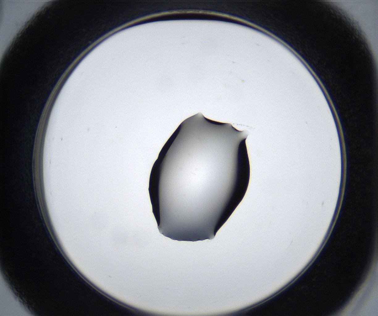 folderID533_plateID2533_batchID12498_wellNum39_profileID1_d2_r191409_ef.jpg