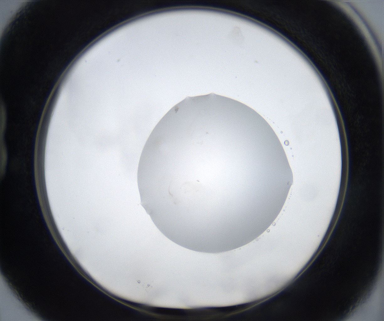 folderID533_plateID2533_batchID12498_wellNum15_profileID1_d1_r191360_ef.jpg