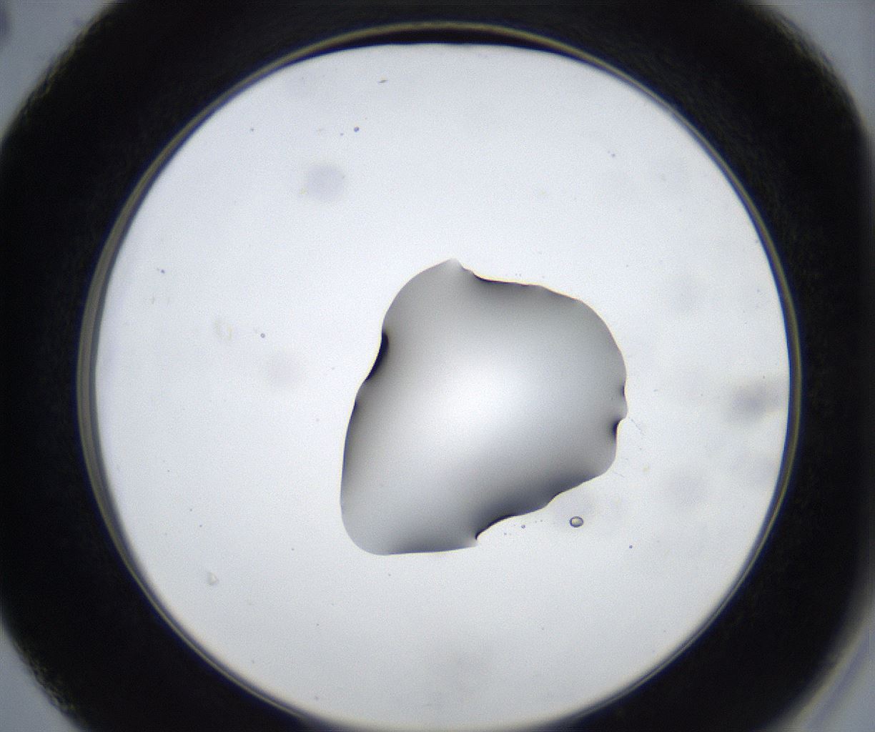 folderID533_plateID2533_batchID12498_wellNum40_profileID1_d2_r191411_ef.jpg