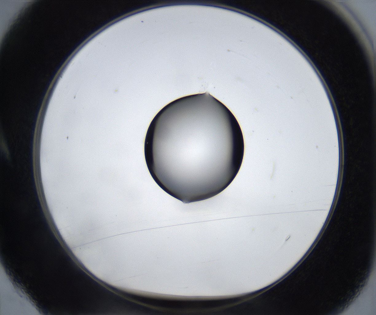 folderID533_plateID2533_batchID12498_wellNum4_profileID1_d1_r191338_ef.jpg