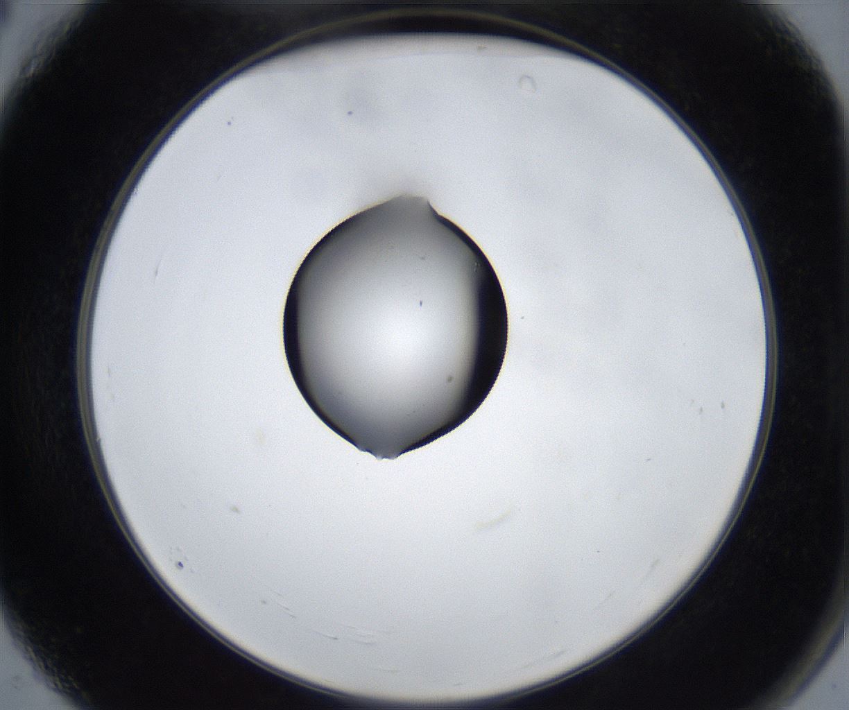 folderID533_plateID2533_batchID12498_wellNum4_profileID1_d2_r191339_ef.jpg