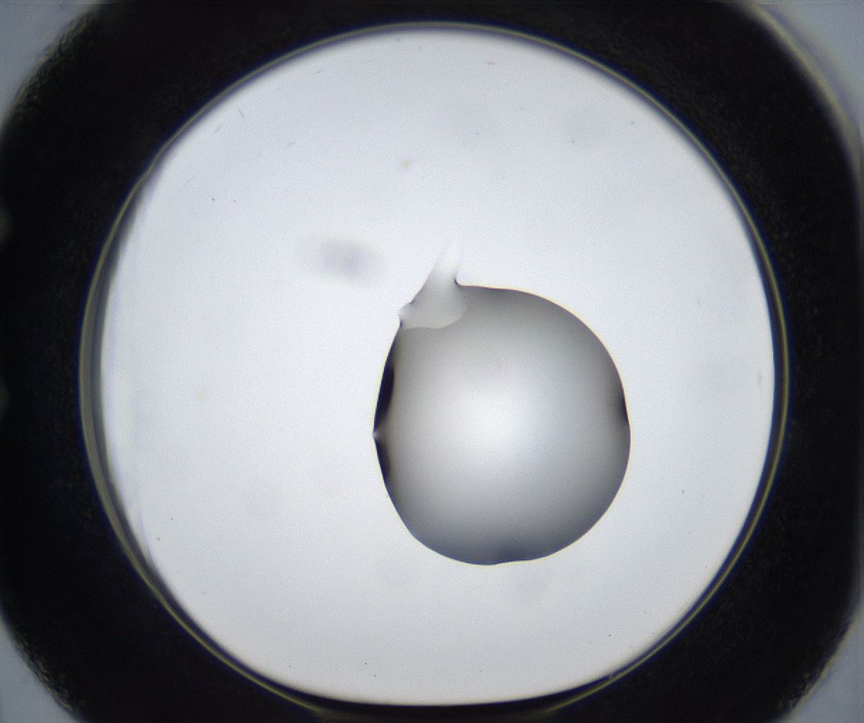 folderID533_plateID2533_batchID12498_wellNum50_profileID1_d1_r191430_ef.jpg