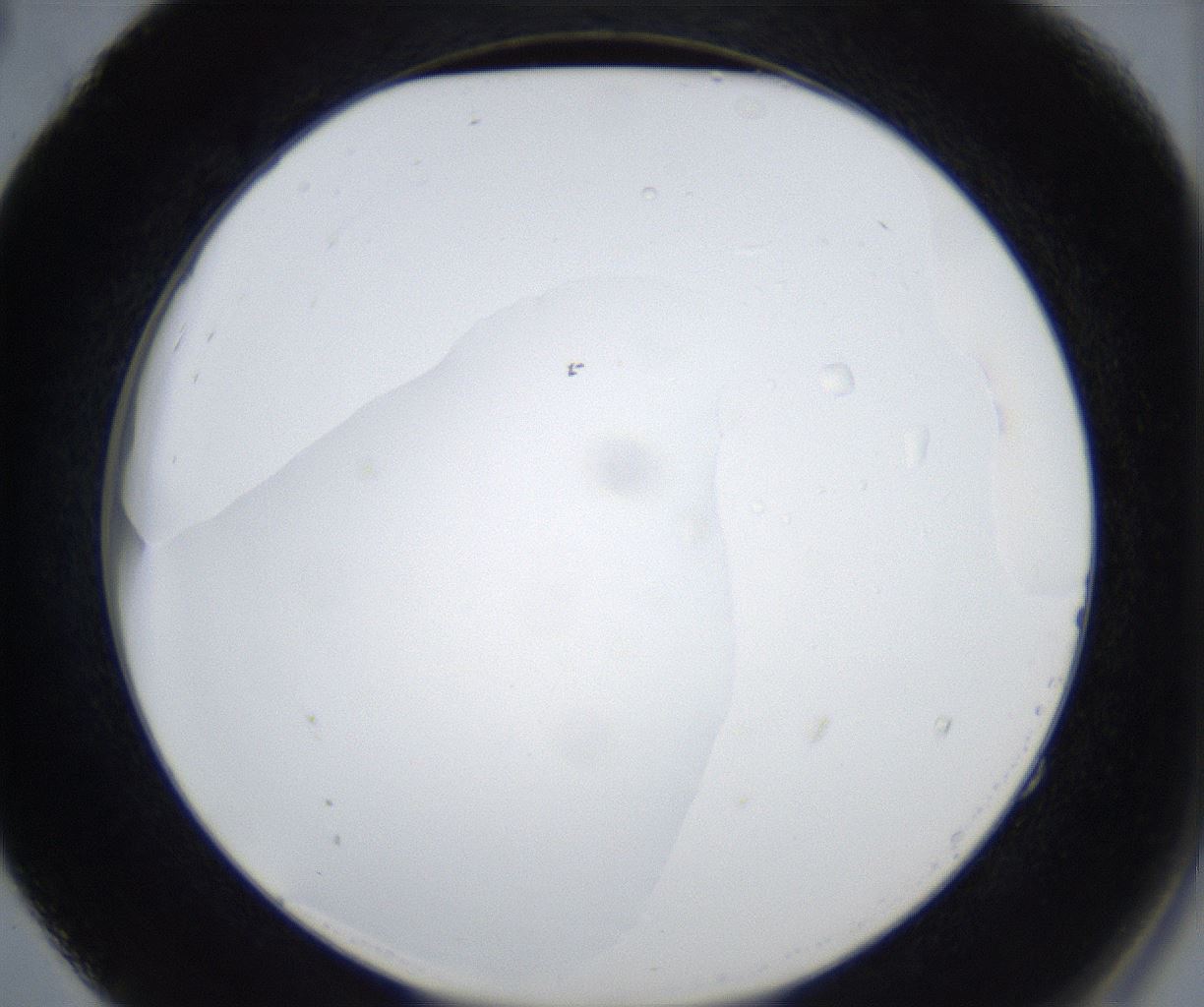 folderID533_plateID2533_batchID12498_wellNum52_profileID1_d2_r191435_ef.jpg