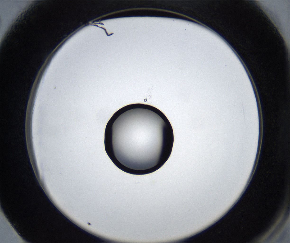 folderID533_plateID2533_batchID12498_wellNum62_profileID1_d2_r191455_ef.jpg