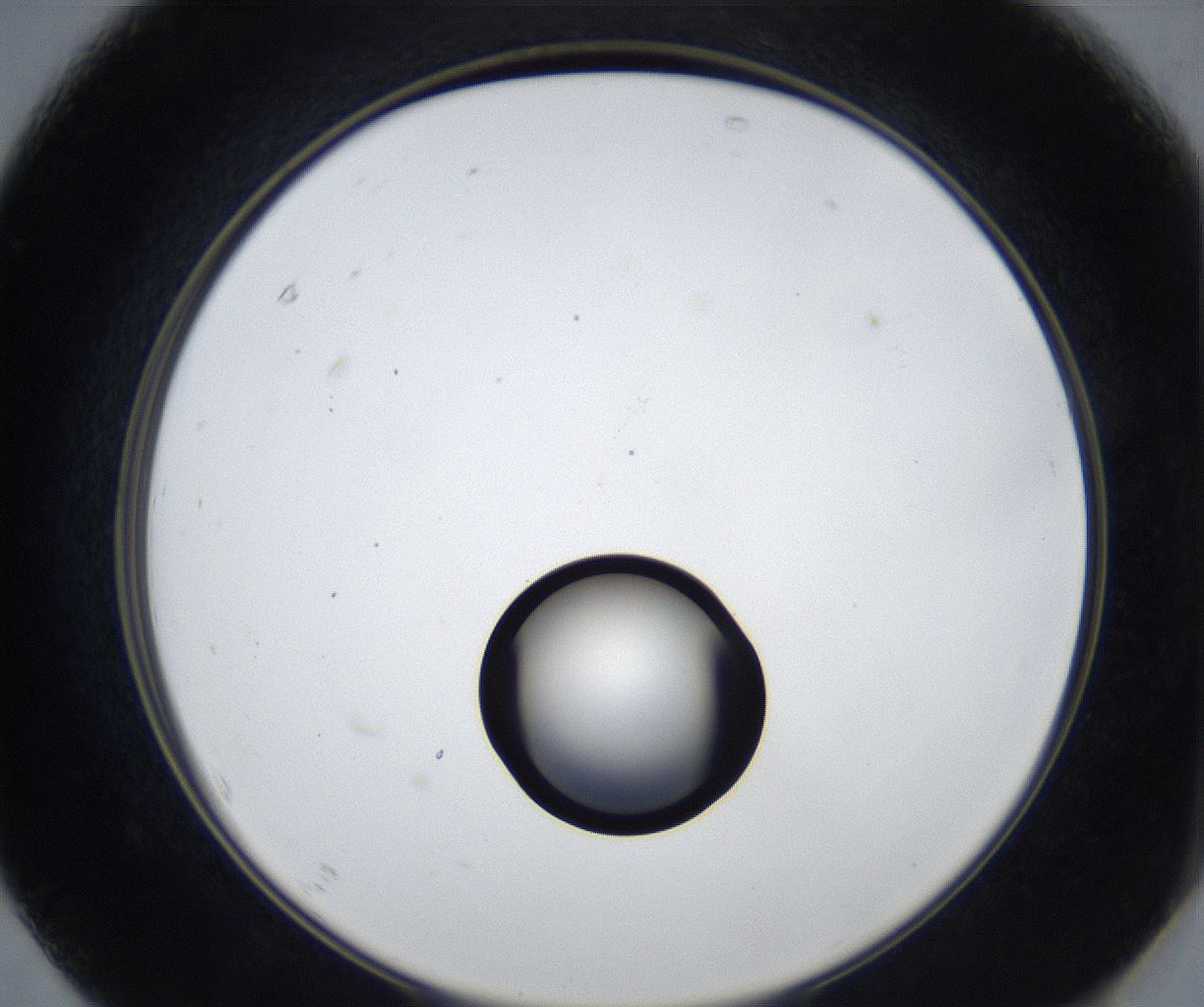 folderID533_plateID2533_batchID12498_wellNum67_profileID1_d2_r191465_ef.jpg