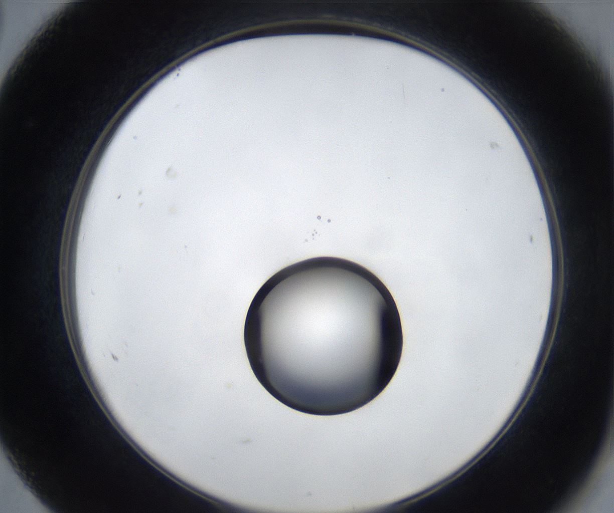 folderID533_plateID2533_batchID12498_wellNum68_profileID1_d2_r191467_ef.jpg