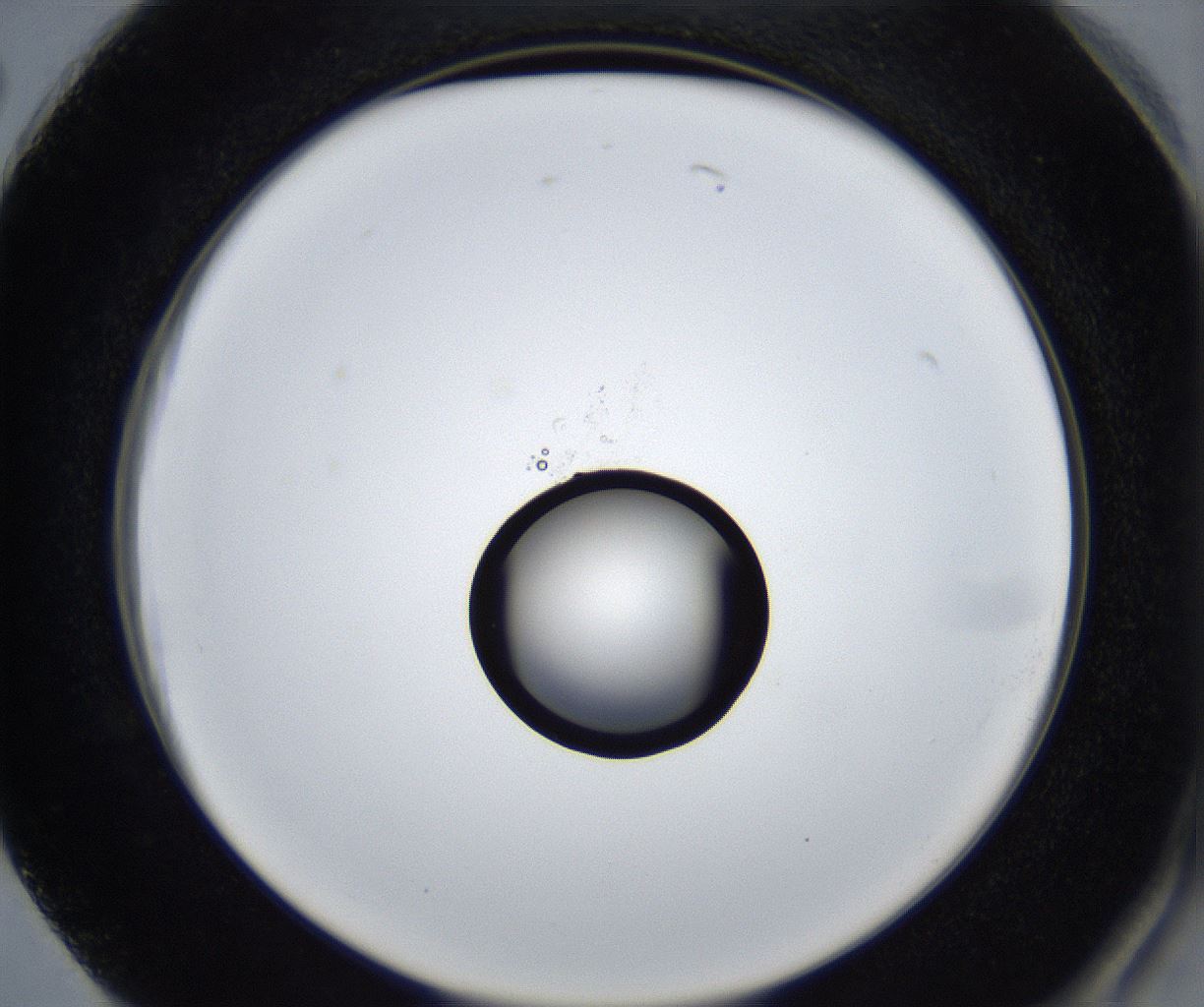 folderID533_plateID2533_batchID12498_wellNum74_profileID1_d2_r191479_ef.jpg
