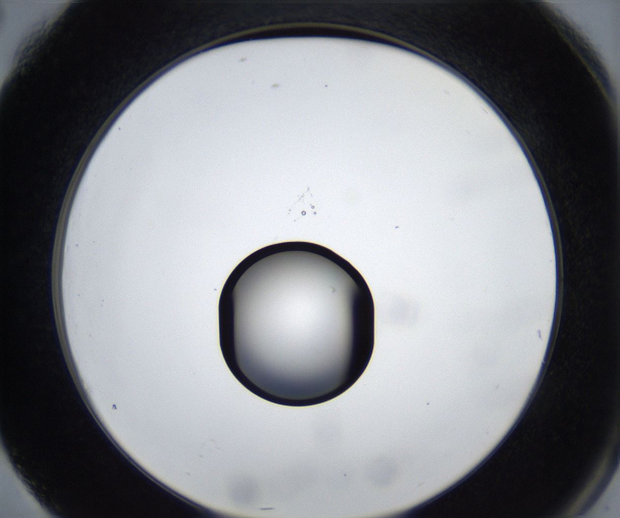 folderID533_plateID2533_batchID12498_wellNum76_profileID1_d2_r191483_ef.jpg