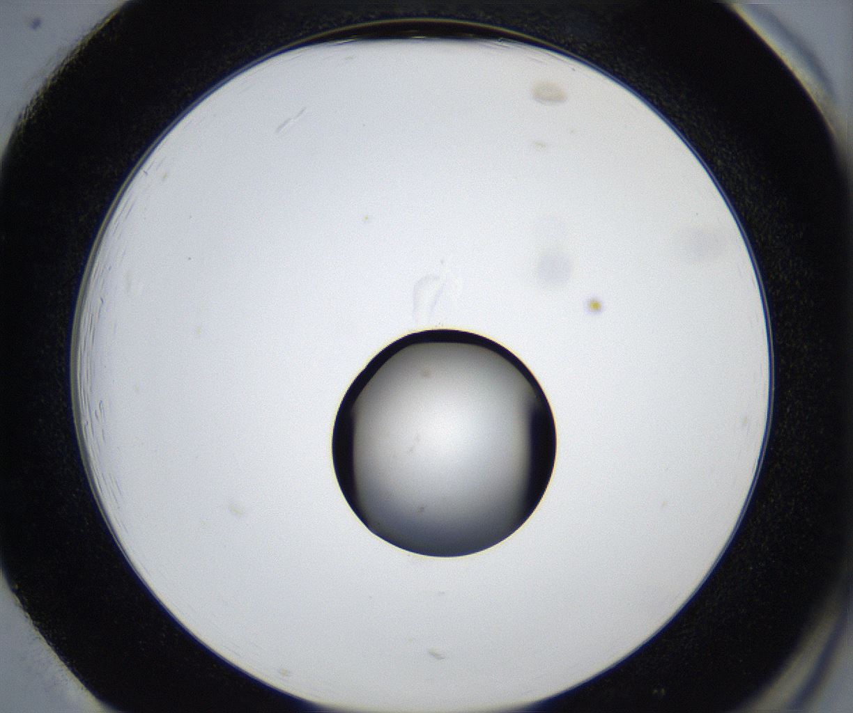 folderID533_plateID2533_batchID12498_wellNum85_profileID1_d2_r191501_ef.jpg