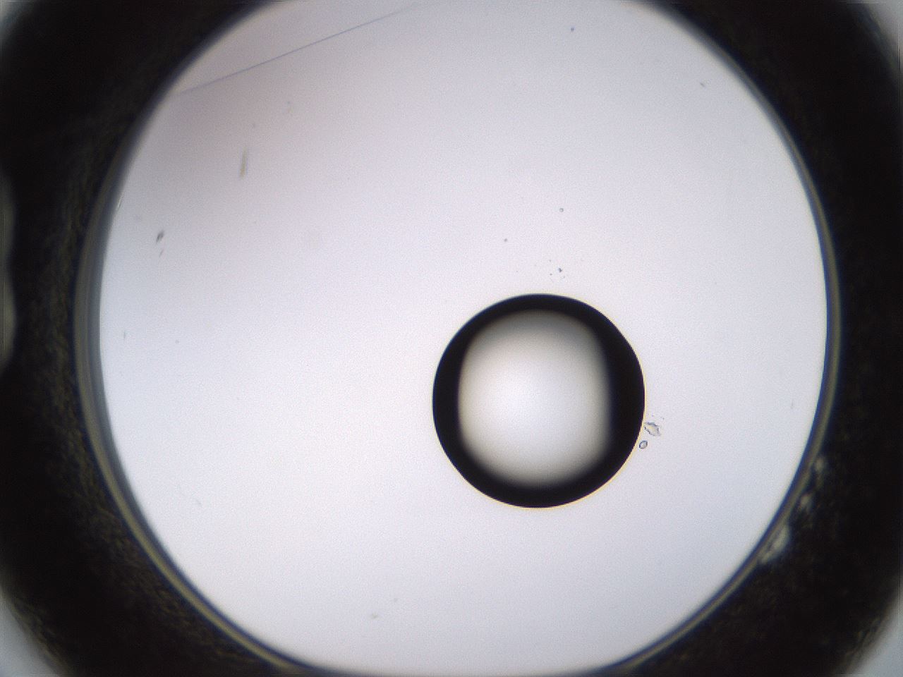 folderID535_plateID1535_batchID6230_wellNum14_profileID1_d1_r98574_ef.jpg