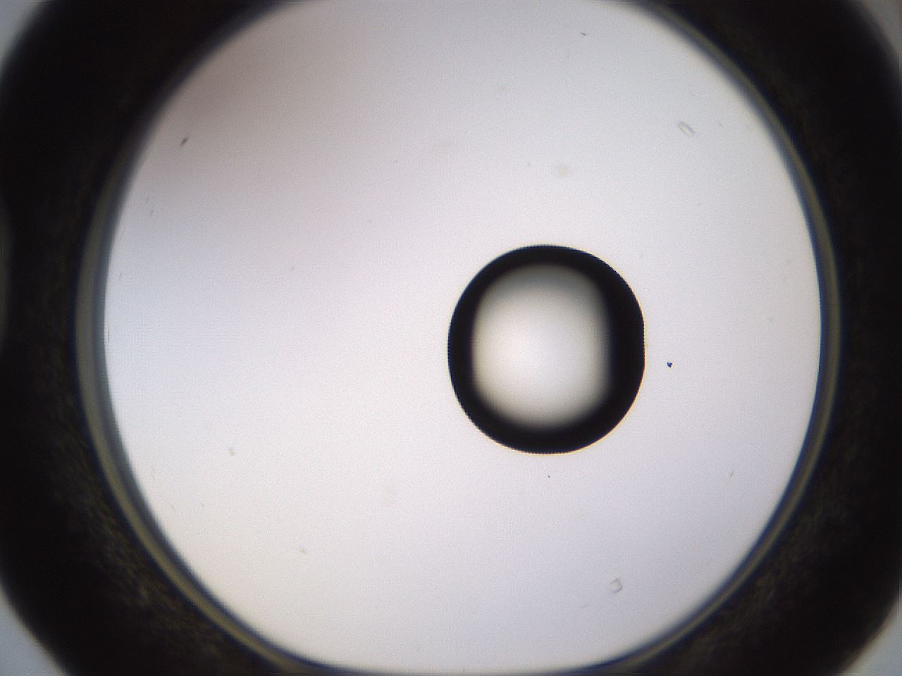folderID535_plateID1535_batchID6230_wellNum40_profileID1_d1_r98600_ef.jpg