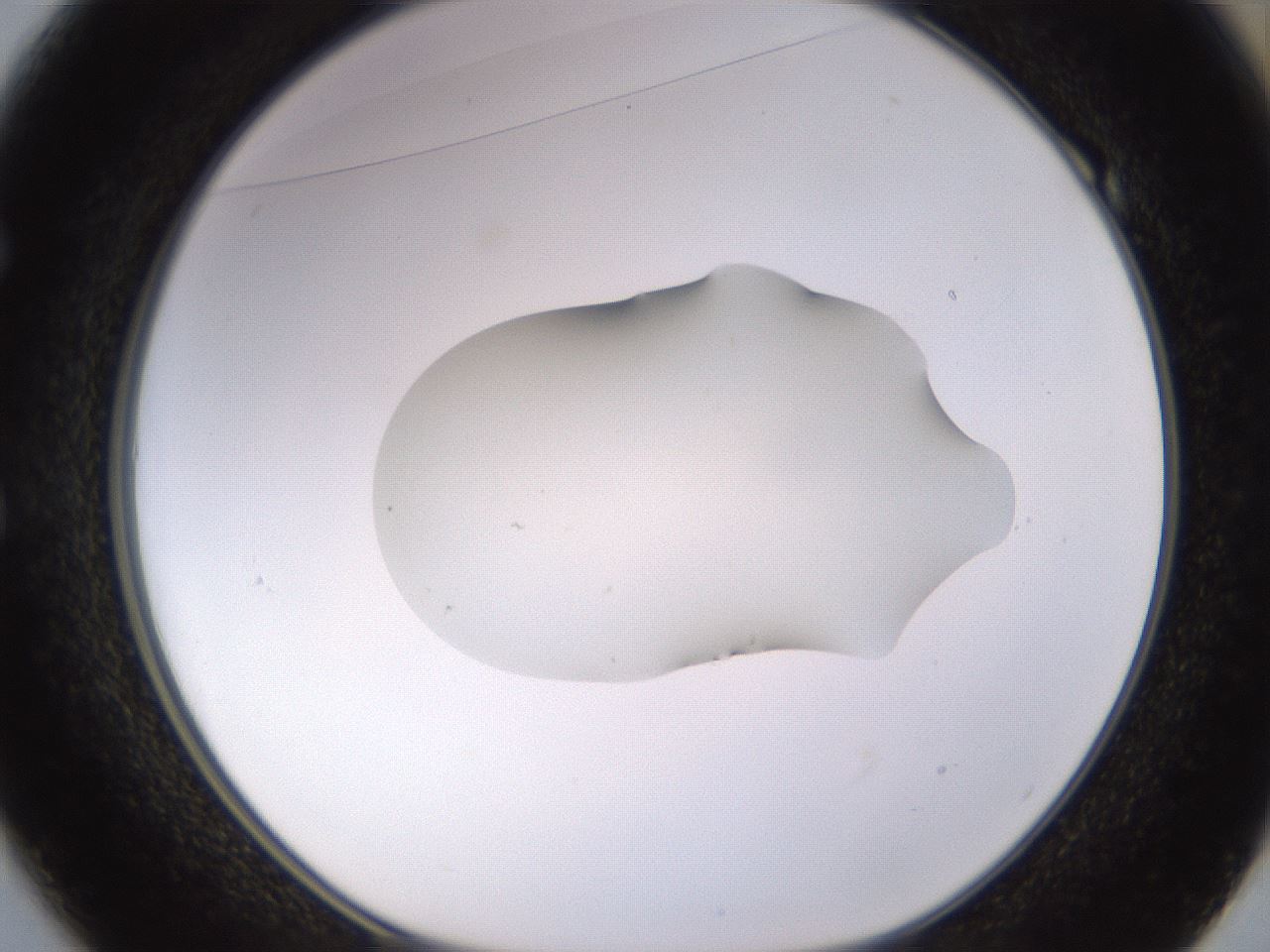 folderID535_plateID1535_batchID6230_wellNum49_profileID1_d1_r98609_ef.jpg