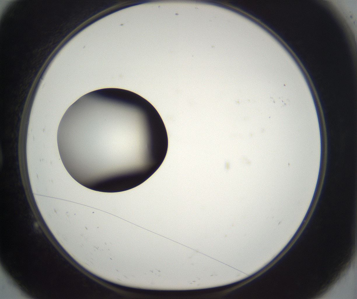 folderID534_plateID2534_batchID12531_wellNum9_profileID1_d1_r192692_ef.jpg