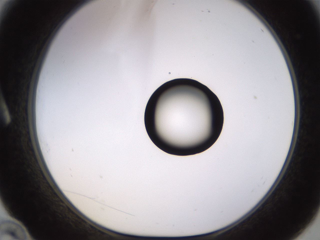 folderID535_plateID1535_batchID6230_wellNum10_profileID1_d1_r98570_ef.jpg